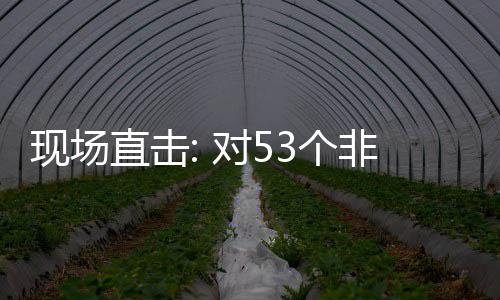 货物面实3个国全关税通关对5直击全国现场建交施零首票深圳非洲