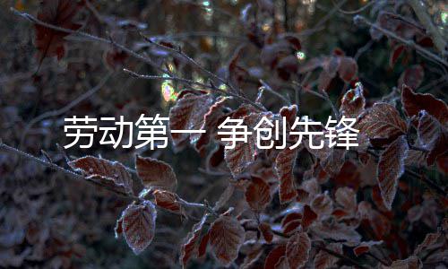 创先第一 争劳动锋