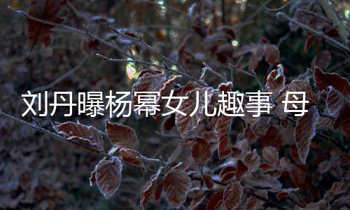 幂女母亲母给祖糯米曝杨刘丹儿趣节小事 送画