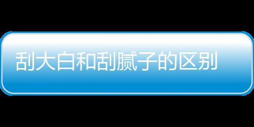 白和刮大刮腻 刮呢大白多少子的区别钱一平米