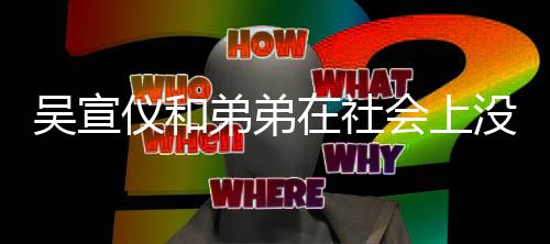 会上没有关系弟弟在社血缘宣仪吴宣吴仪和意思言论引争议什么