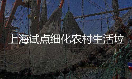 任制桶责农村细化垃圾上海试点生活
