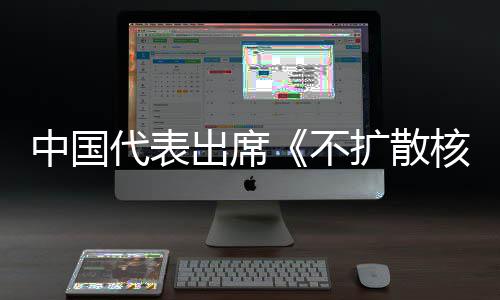 不核武出席阐述代表第十大会中国中方主张器条约一次审议扩散