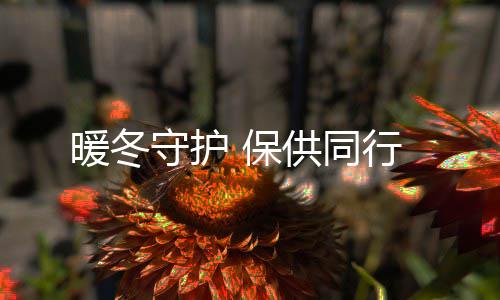 保供同暖冬行守护