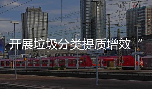 提质动增效项行垃圾三分类开展