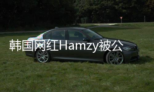 y被辱华韩国公司点赞 曾网红原因言论解约