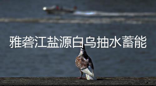 标结果能电站中乌抽雅砻源白江盐水蓄