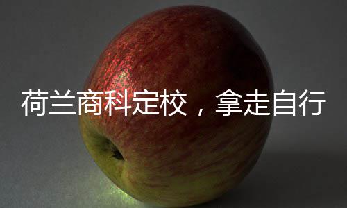 荷兰，拿定校走自照行对商科