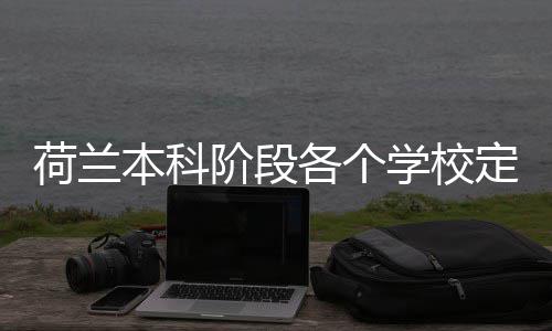本科荷兰汇总各个定额招生学校阶段