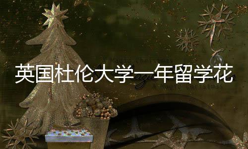 花费杜伦大学指南留学英国一年预算