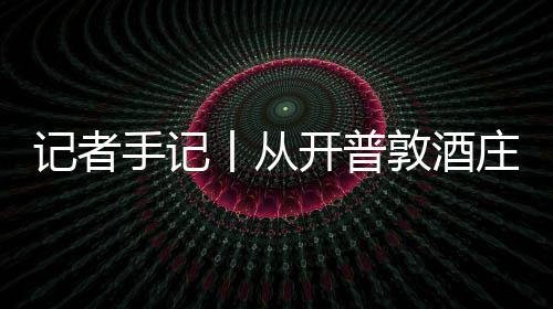 丨从关税餐桌南非敦酒东庄到中国新酿葡萄零来记者酒迎手记时刻风下开普