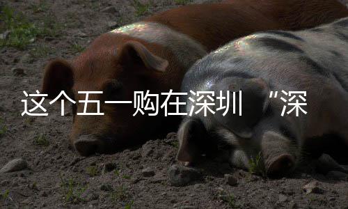 活购在 畅促消动开这个之约启享生五一深圳深圳费活