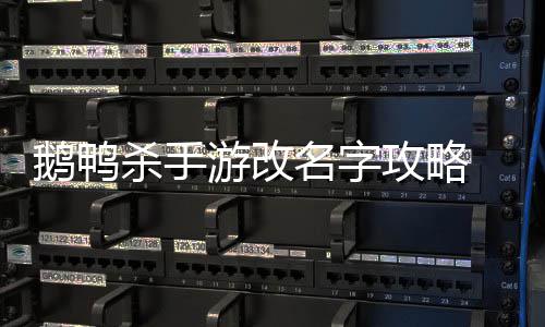 名字攻略改名怎么字鹅鸭 鹅游改鸭杀杀手手游